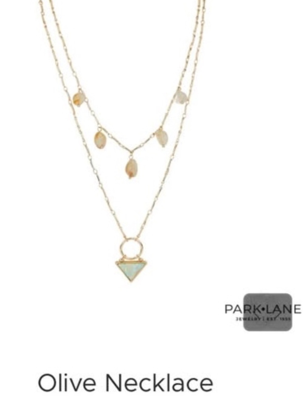 Park Lane Olive Necklace NWT